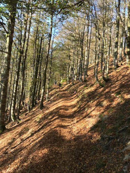 La Magie Entre Deux Lacs Βίλα Gérardmer Εξωτερικό φωτογραφία