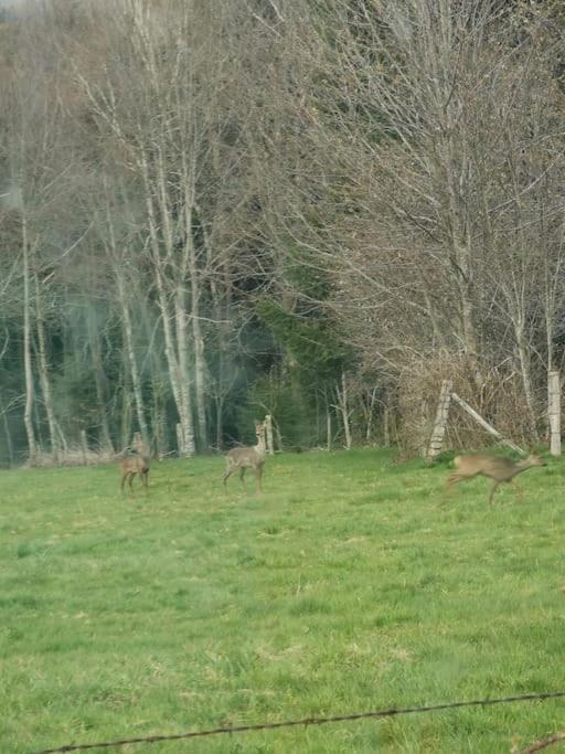 La Magie Entre Deux Lacs Βίλα Gérardmer Εξωτερικό φωτογραφία