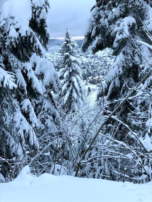 La Magie Entre Deux Lacs Βίλα Gérardmer Εξωτερικό φωτογραφία